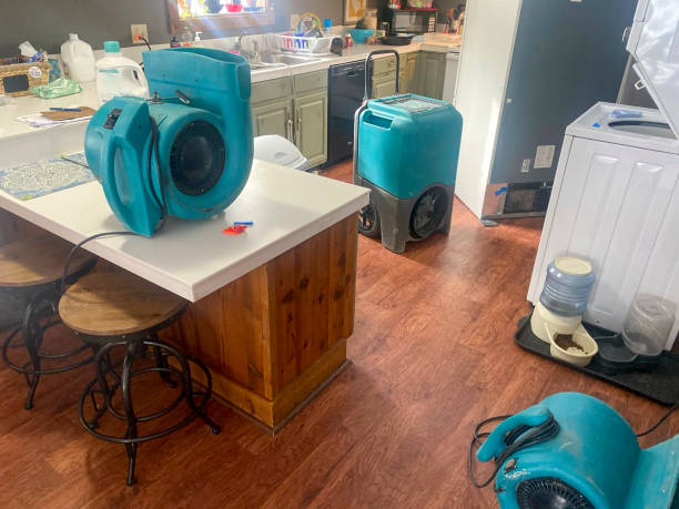 Best Flooded house restoration  in Texanna, OK