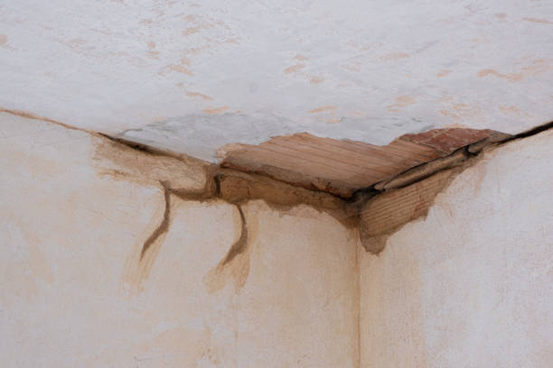 Best Water damage cleanup near me  in Texanna, OK