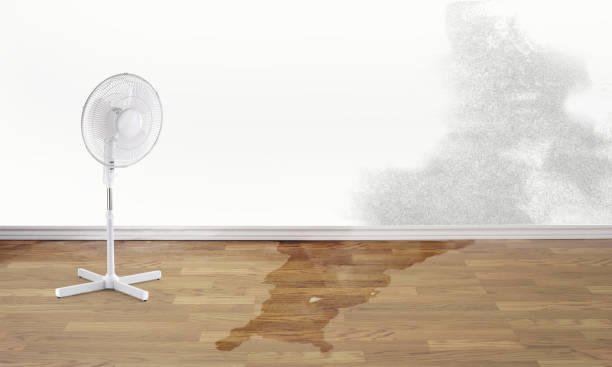 Best 24/7 water damage repair  in Texanna, OK