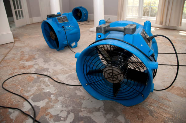 Best Flood restoration services  in Texanna, OK