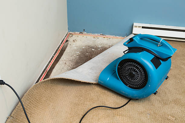 Best Emergency water damage restoration  in Texanna, OK